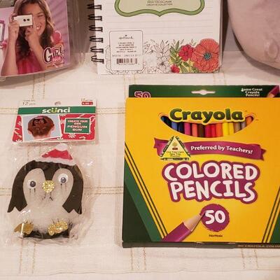 Lot 789: NEW Video Journal, Cat Plushie, Coloring book Journal, Colored Pencils & Penguin Hair Decoration