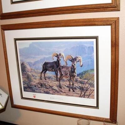 Set of four Ruger Anniversary signed game sheep animal prints, framed (#178-181)