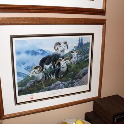 Set of four Ruger Anniversary signed game sheep animal prints, framed (#178-181)