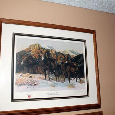 Set of four Ruger Anniversary signed game sheep animal prints, framed (#178-181)