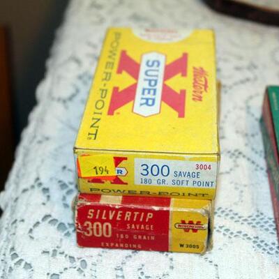 .300 savage ammo, 24 rounds (#194)
