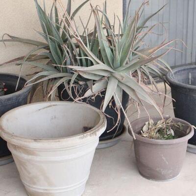 Lot 118 3 Lrg Plastic Pots 1'8"T + 2 additional