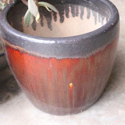 Lot 120 Potted Plants, Margaret Hudson Dove, Table & More