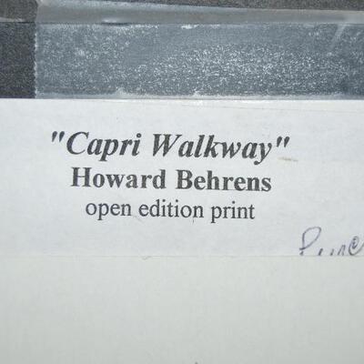 Howard Behren's Capri Walkway