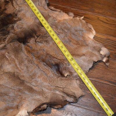 Deer Pelt (3)
