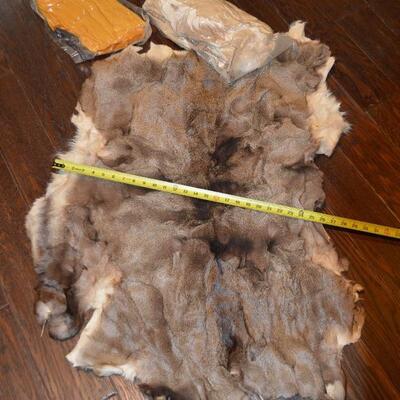 Deer Pelt (3)