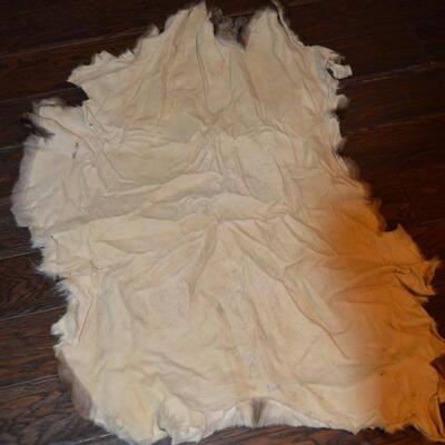 Deer Pelt (3)