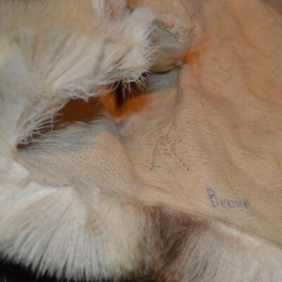 Deer Pelt (3)