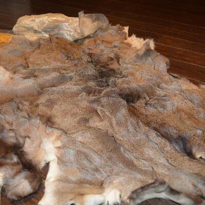 Deer Pelt (3)
