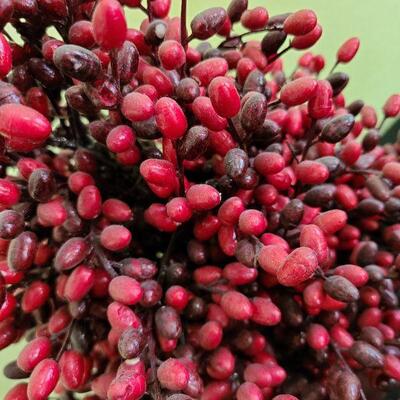 3 Red Berry Topiaries