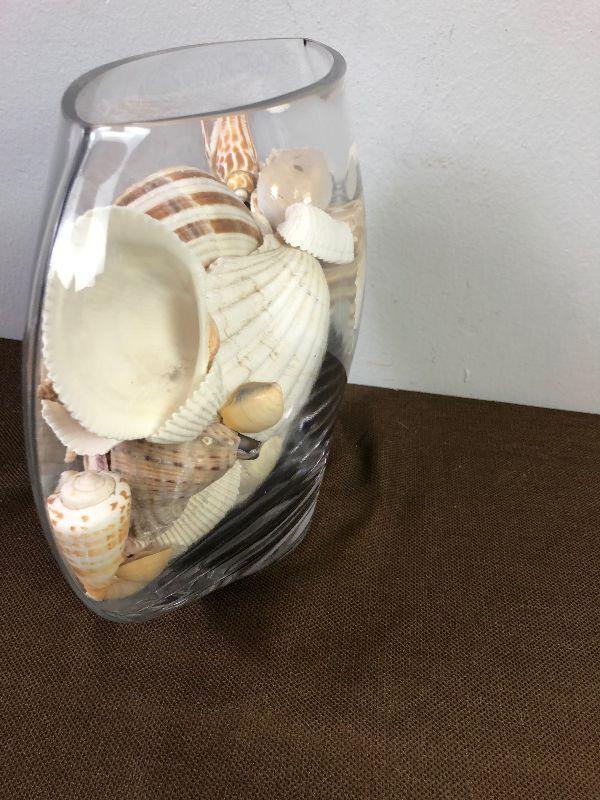 165 Glass Vase of Sea Shells