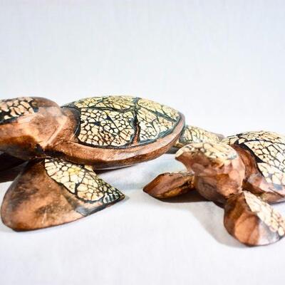 Wood & Shell Sea Turtle Set