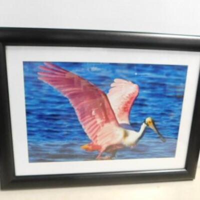 Framed and Matted Photography Art Unsigned Bird in Flight 32