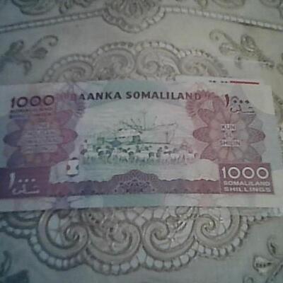 FOREIGN CURRENCY