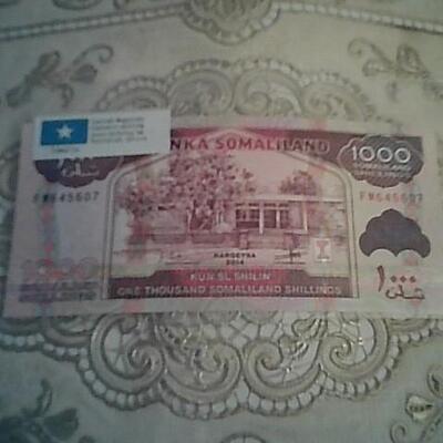 FOREIGN CURRENCY
