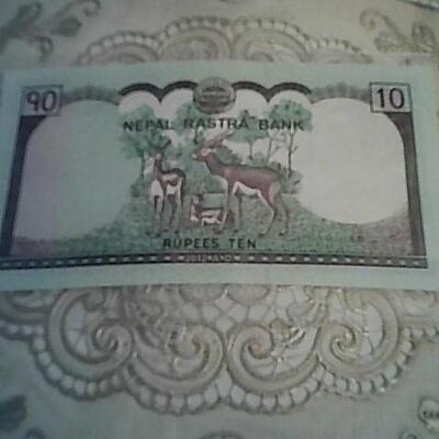 FOREIGN CURRENCY