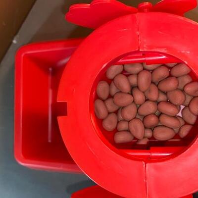 Lot 139 - Dont spill the Beans game