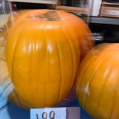 Lot 199 - Two Real Looking Pumpkins