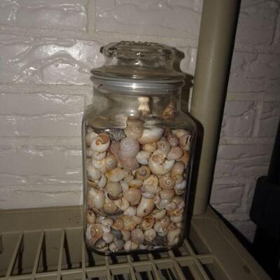 Jar of Seashells 
