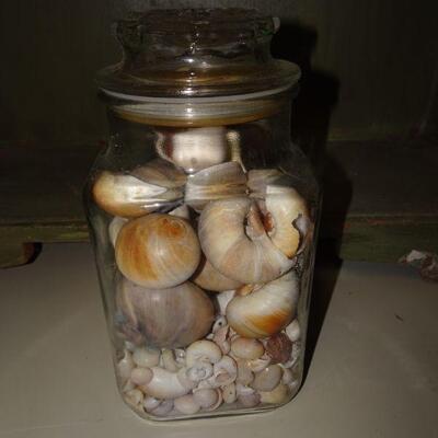 Jar of Shells 