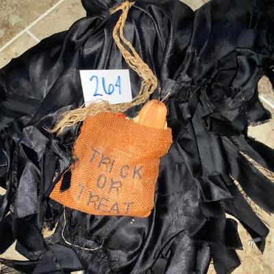 Lot 264- black ghost