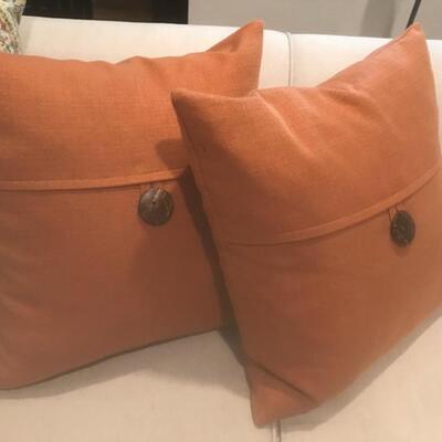 Orange Pillows 19/x19