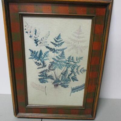 Lot 126 - Gymnogramma Triangularis Botanical Print