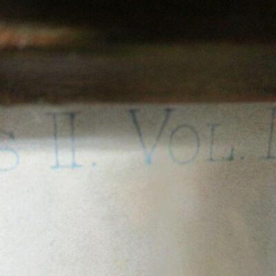 Lot 126 - Gymnogramma Triangularis Botanical Print