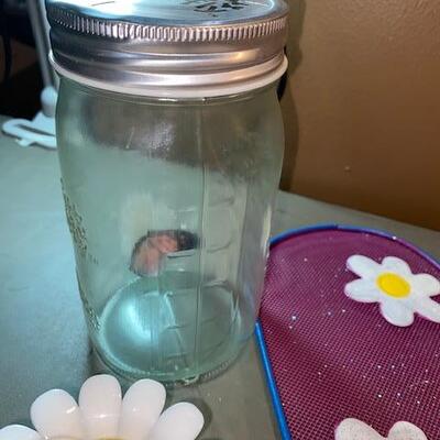 Lot 521- - Summer decor