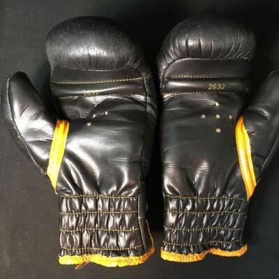 Lot 7: Two Pairs of Everlast Boxing Gloves and Punching Pads