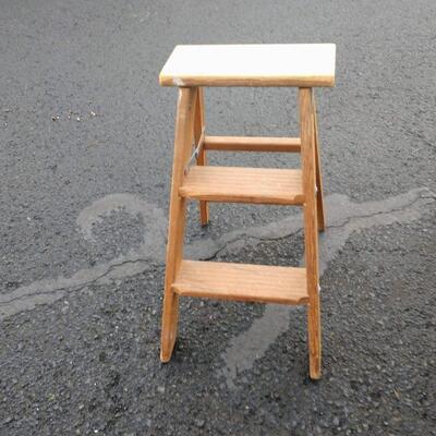 Two Step Ladders