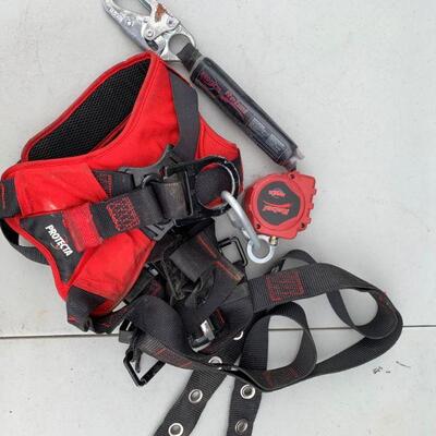Protecta safety harness