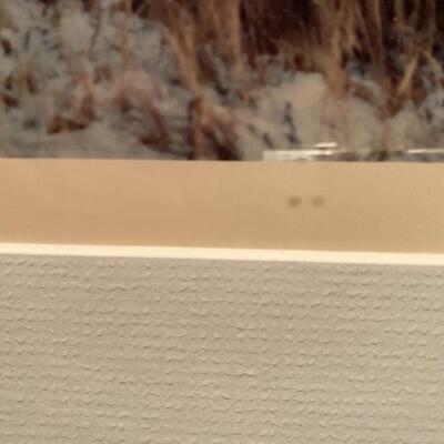 Photograph Berkshire Reeds 1988 by Michelle Baylis  