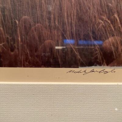 Photograph Berkshire Reeds 1988 by Michelle Baylis  