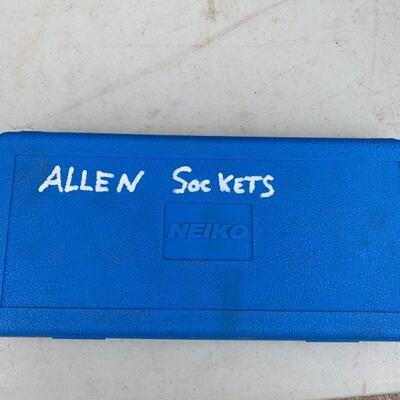 Allen socket set