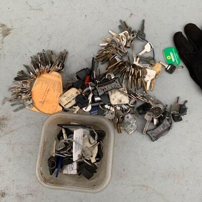 large lot of random keys