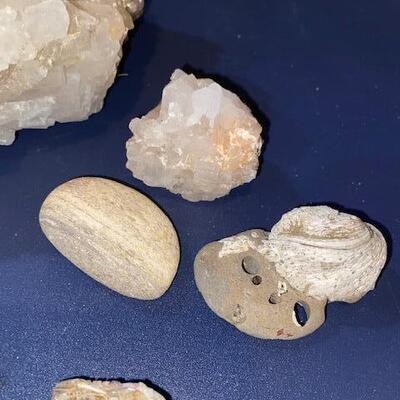 Lot 719 - Crystals and shells