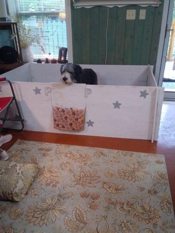 Hand Crafted Whelping Kennel Built to Easily Breakdown and Move (Dog not Included)