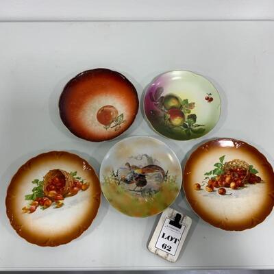 .62. ANTIQUE | Five Collectible Souvenir Plates