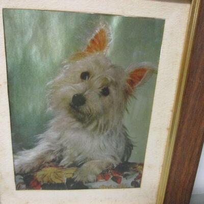 Lot 156 - Terrier Collection 