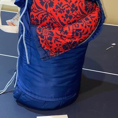 Lot 789 - Coleman Sleeping Bag