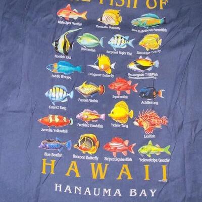 Lot 811 - Hawaii items