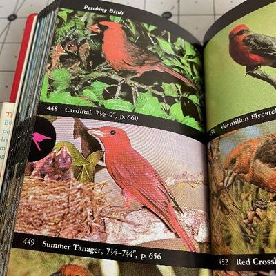 Lot #21 The Audubon Society Field Guide to North American Birds