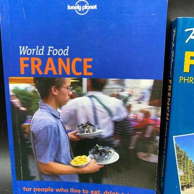 Pair of French Travel Guide Books YD#017-1120-00081