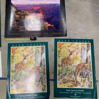 #26 Grand Canyon and Wildlife Posters