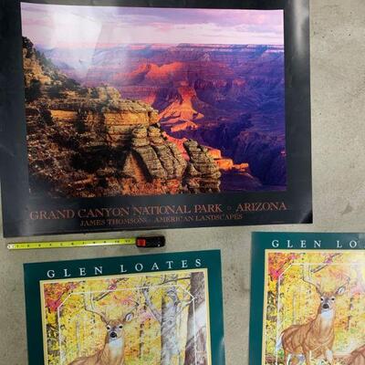 #26 Grand Canyon and Wildlife Posters