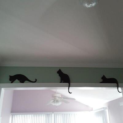 3 door cats