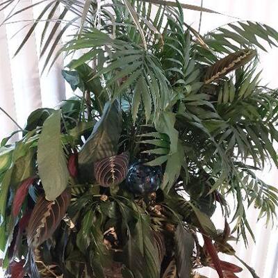 5 Houseplants