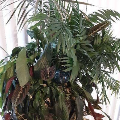 5 Houseplants