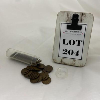 .204. 57 Indian Head Pennies | 1900-1907 | AG-VG+